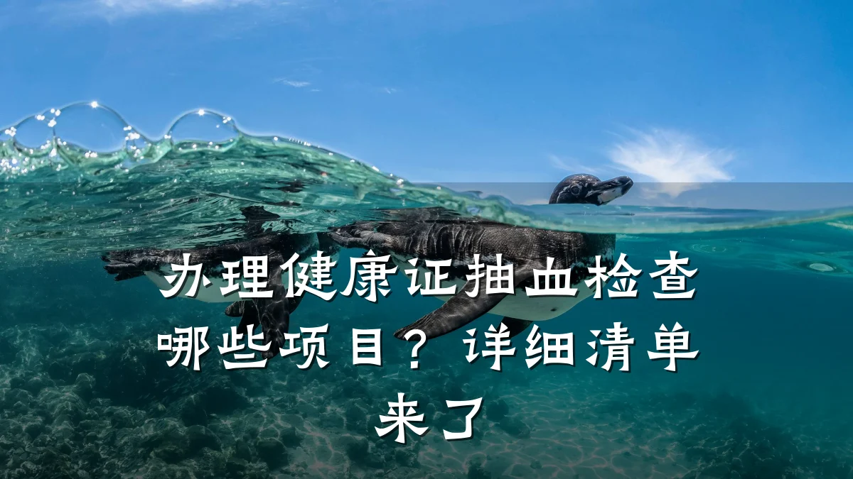 办理健康证抽血检查哪些项目?详细清单来了