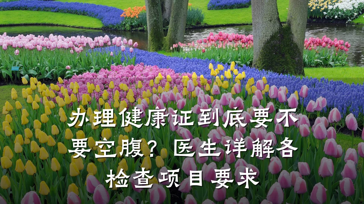 办理健康证到底要不要空腹？医生详解各检查项目要求