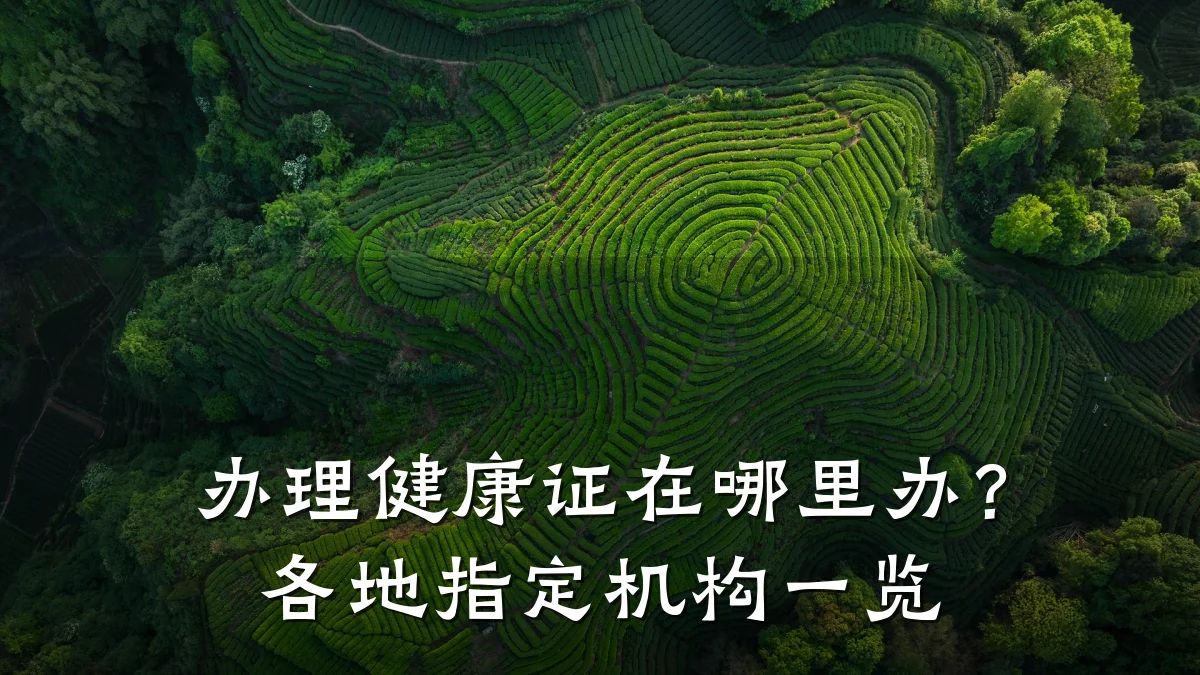 办理健康证在哪里办?各地指定机构一览