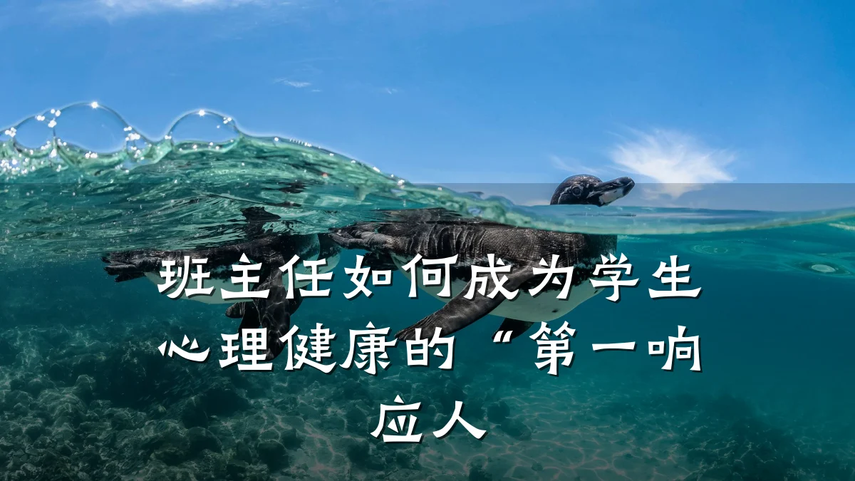 班主任如何成为学生心理健康的“第一响应人
