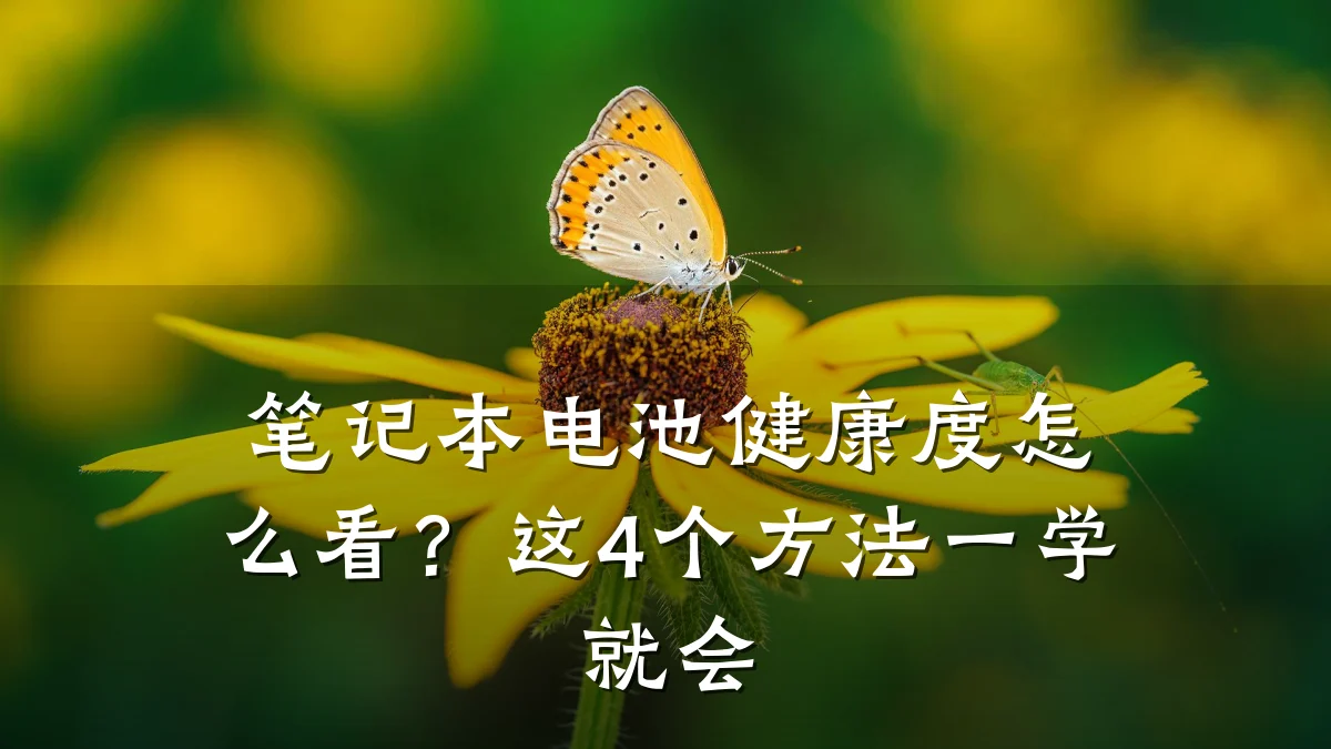 笔记本电池健康度怎么看?这4个方法一学就会