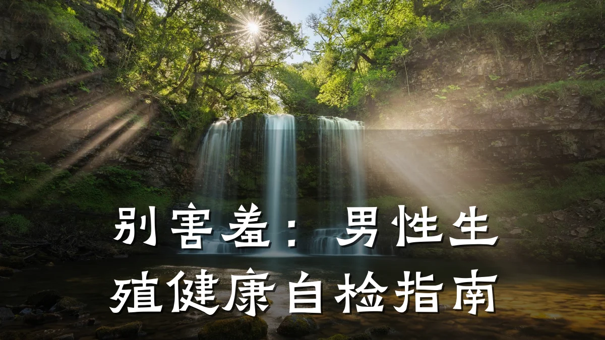 别害羞:男性生殖健康自检指南