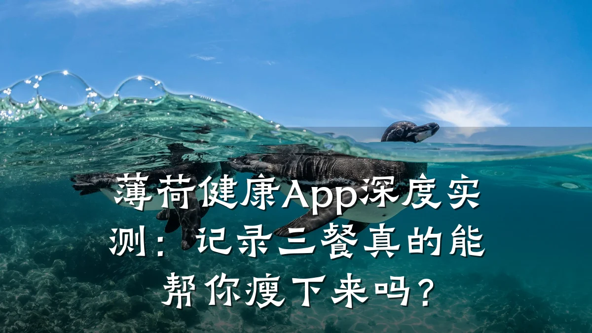 薄荷健康App深度实测:记录三餐真的能帮你瘦下来吗?