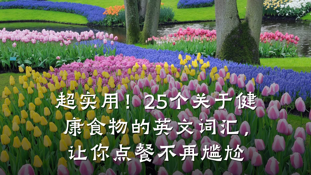 超实用!25个关于健康食物的英文词汇,让你点餐不再尴尬