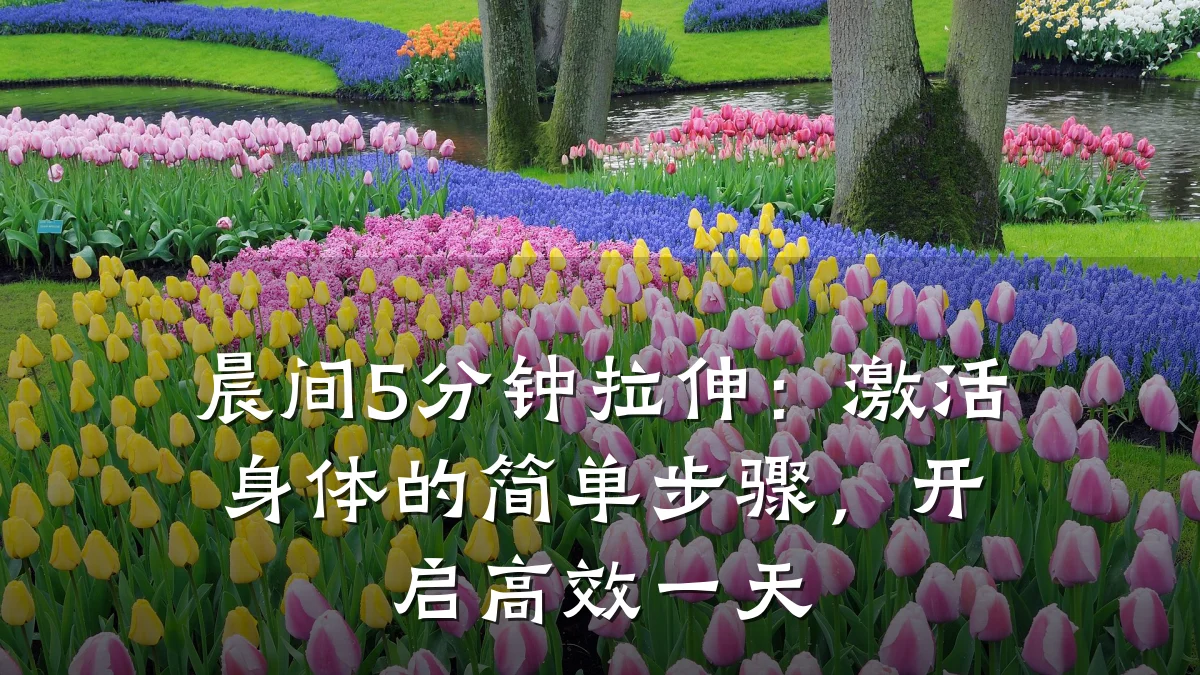 晨间5分钟拉伸:激活身体的简单步骤,开启高效一天