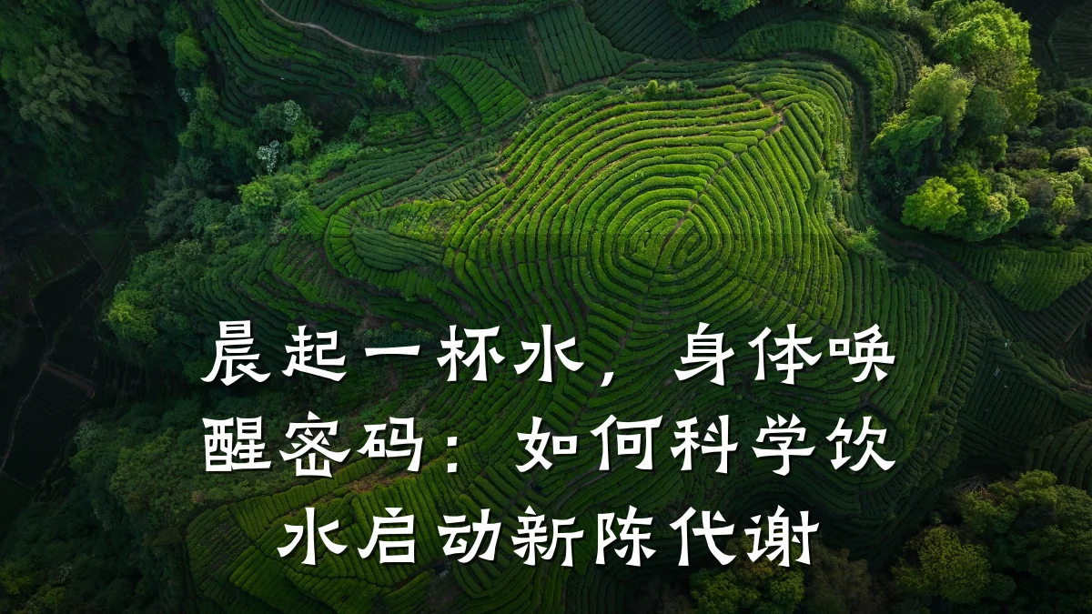 晨起一杯水,身体唤醒密码:如何科学饮水启动新陈代谢