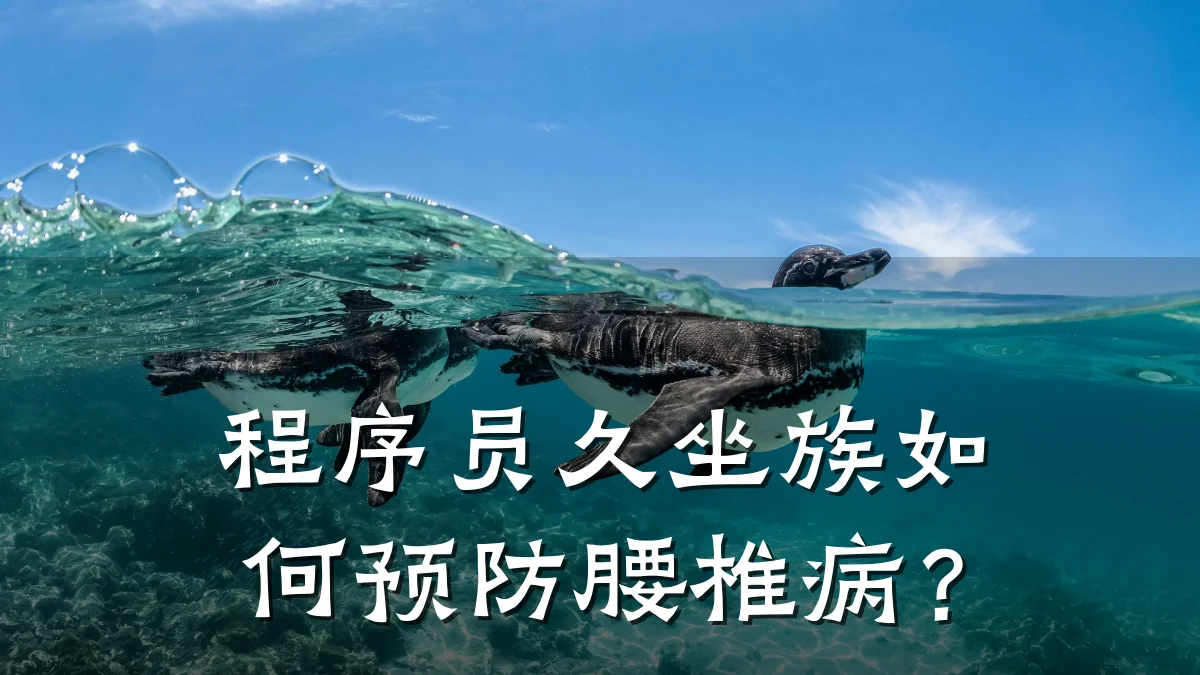 程序员久坐族如何预防腰椎病?