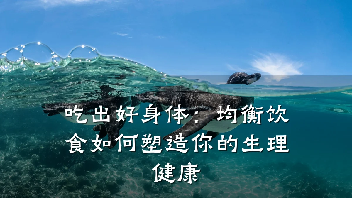 吃出好身体:均衡饮食如何塑造你的生理健康