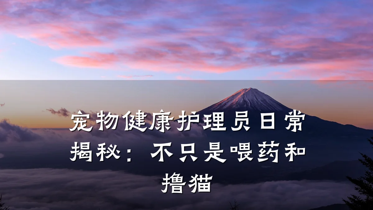 宠物健康护理员日常揭秘:不只是喂药和撸猫