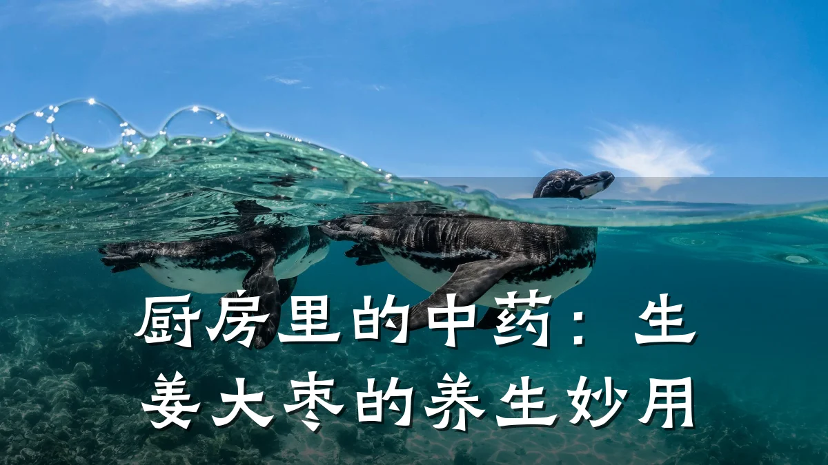 厨房里的中药:生姜大枣的养生妙用