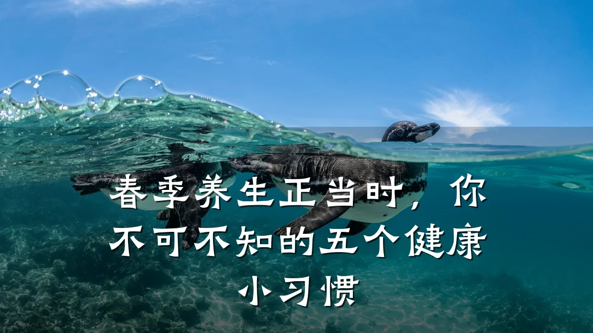 春季养生正当时,你不可不知的五个健康小习惯