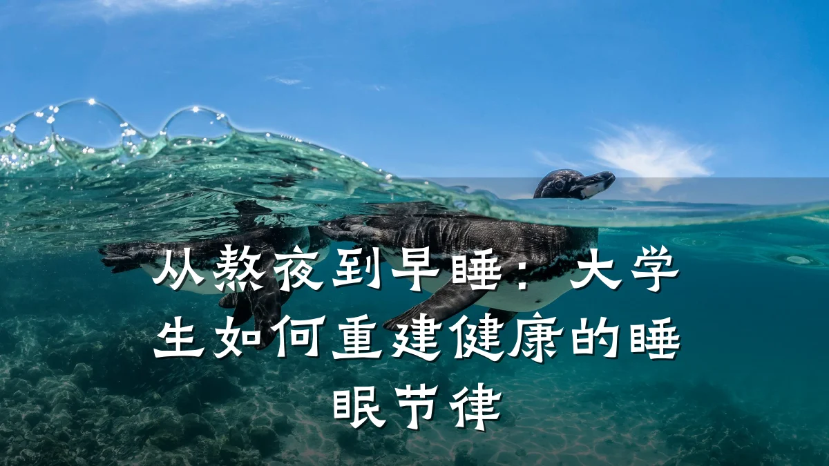 从熬夜到早睡:大学生如何重建健康的睡眠节律