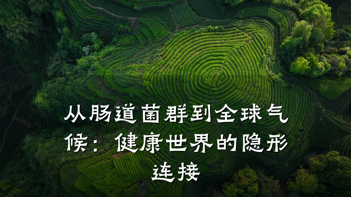 从肠道菌群到全球气候:健康世界的隐形连接