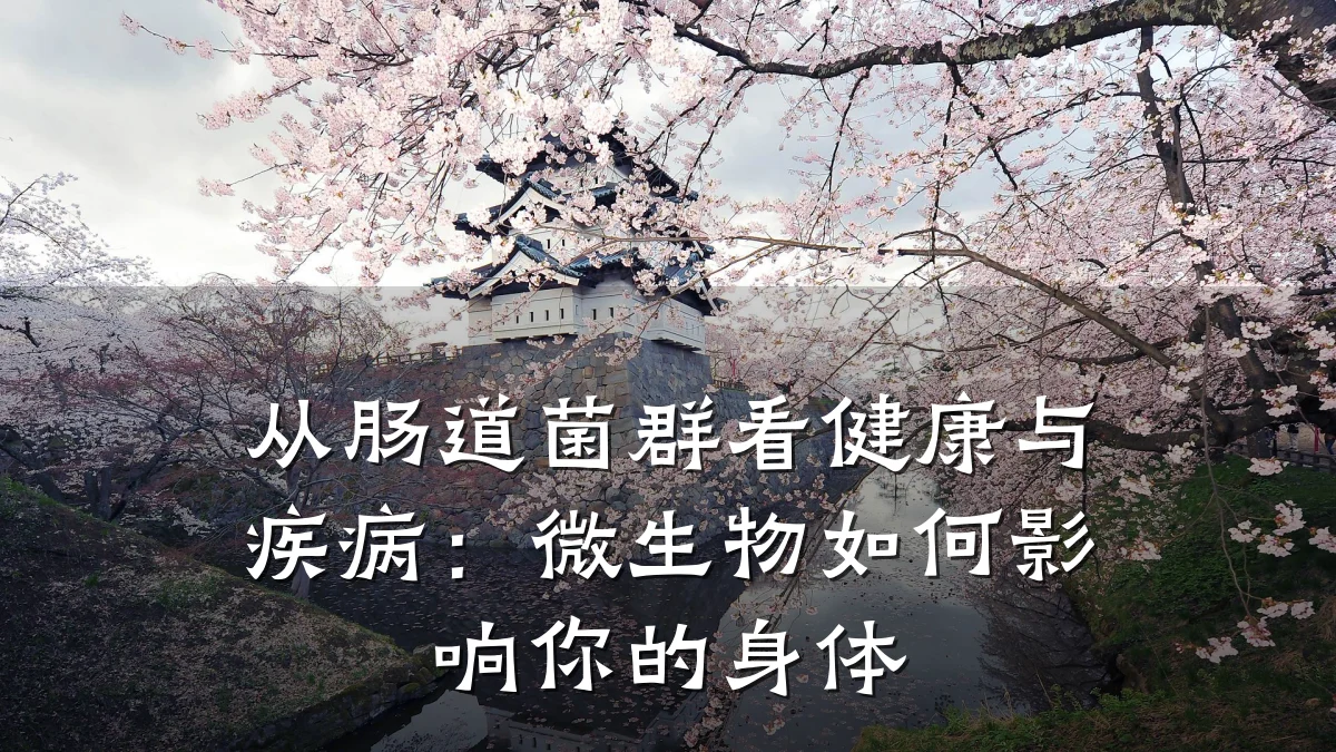 从肠道菌群看健康与疾病:微生物如何影响你的身体
