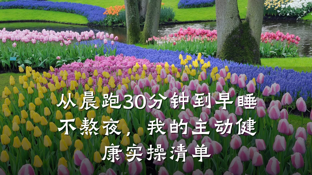 从晨跑30分钟到早睡不熬夜,我的主动健康实操清单