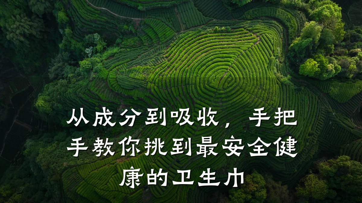 从成分到吸收,手把手教你挑到最安全健康的卫生巾