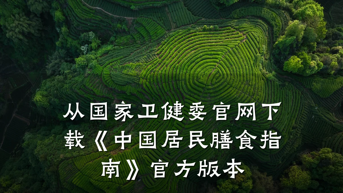 从国家卫健委官网下载《中国居民膳食指南》官方版本