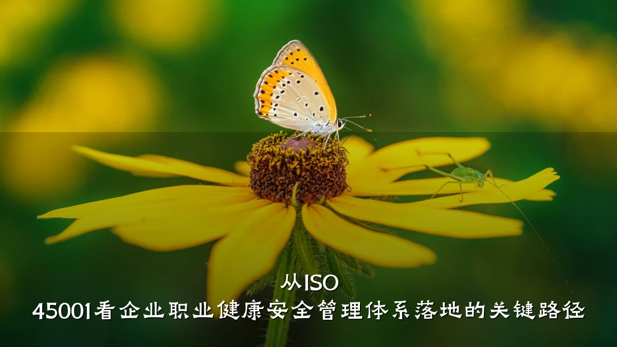 从ISO 45001看企业职业健康安全管理体系落地的关键路径
