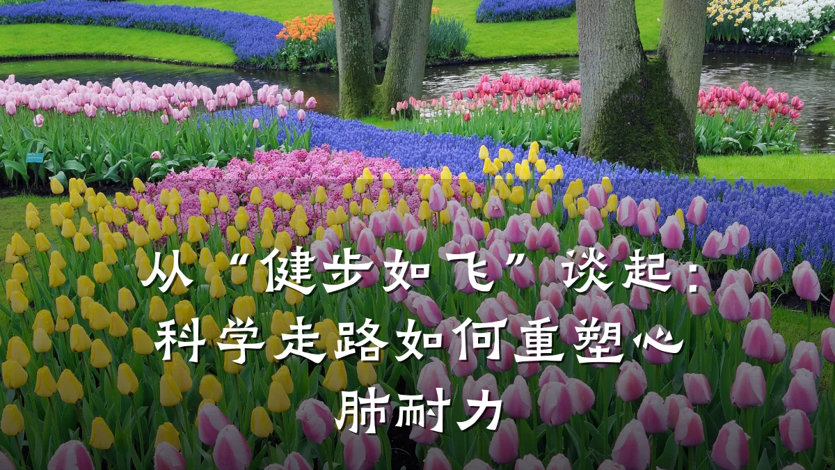 从“健步如飞”谈起:科学走路如何重塑心肺耐力