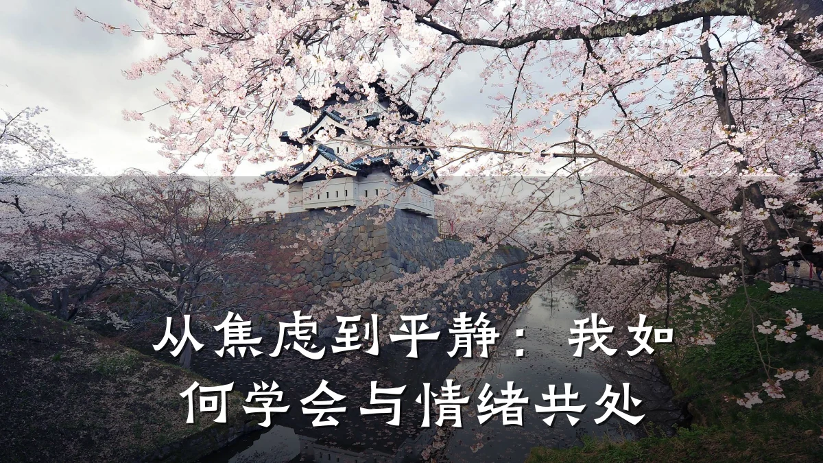 从焦虑到平静:我如何学会与情绪共处
