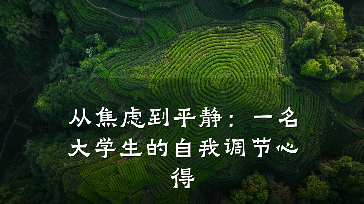 从焦虑到平静:一名大学生的自我调节心得