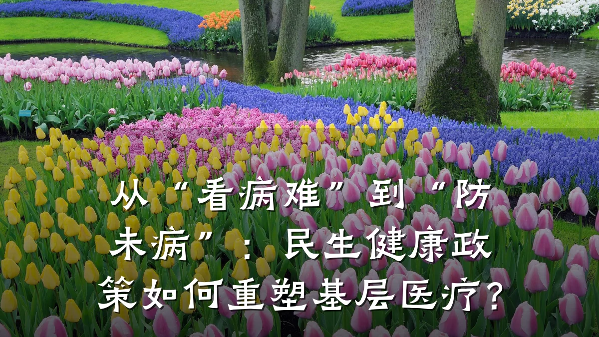 从“看病难”到“防未病”:民生健康政策如何重塑基层医疗?