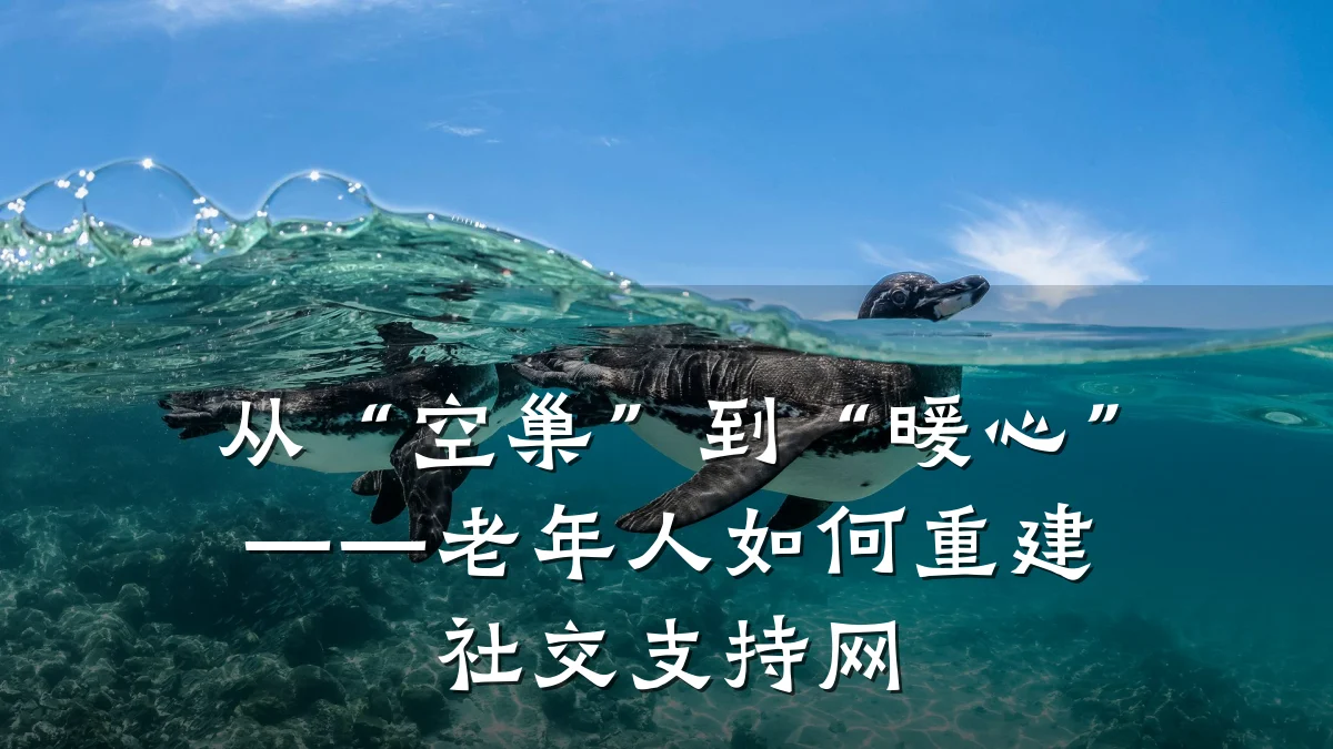 从“空巢”到“暖心”——老年人如何重建社交支持网