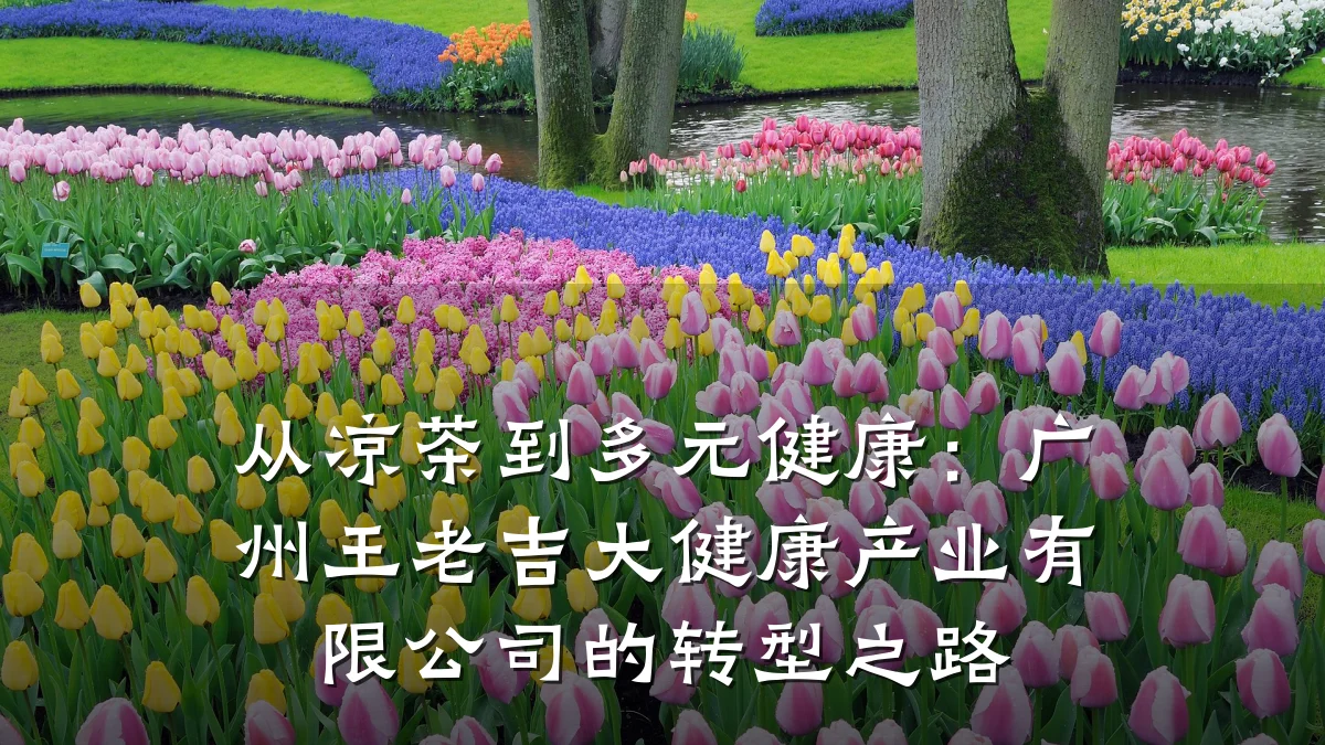 从凉茶到多元健康:广州王老吉大健康产业有限公司的转型之路
