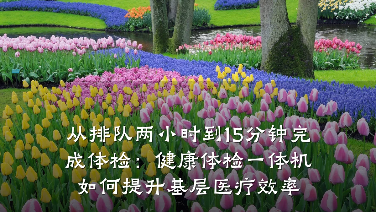 从排队两小时到15分钟完成体检：健康体检一体机如何提升基层医疗效率