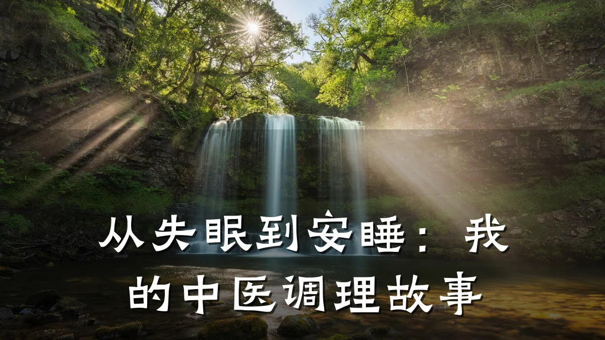 从失眠到安睡:我的中医调理故事