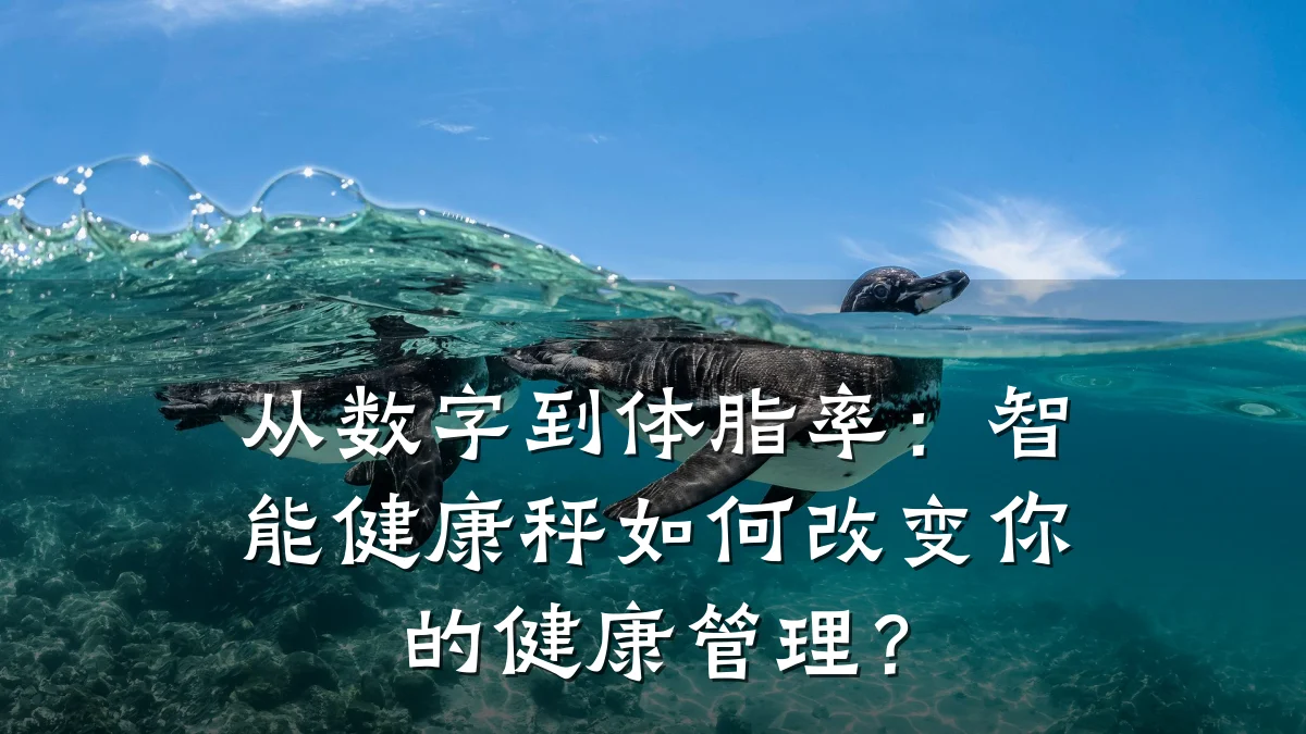 从数字到体脂率:智能健康秤如何改变你的健康管理?