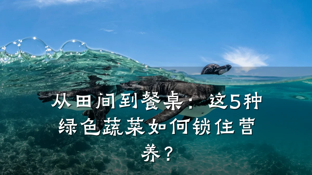 从田间到餐桌:这5种绿色蔬菜如何锁住营养?