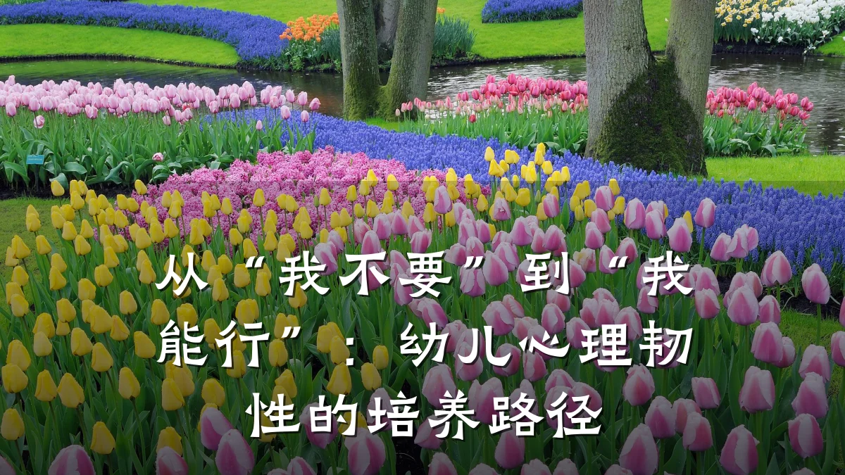 从“我不要”到“我能行”:幼儿心理韧性的培养路径