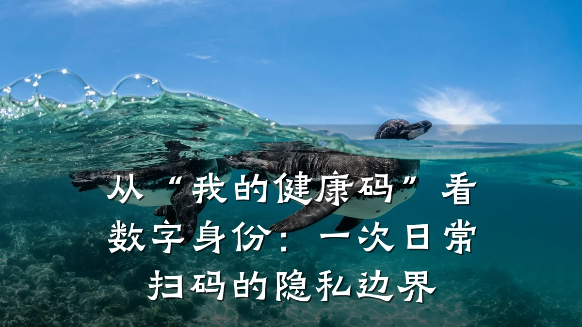 从“我的健康码”看数字身份:一次日常扫码的隐私边界