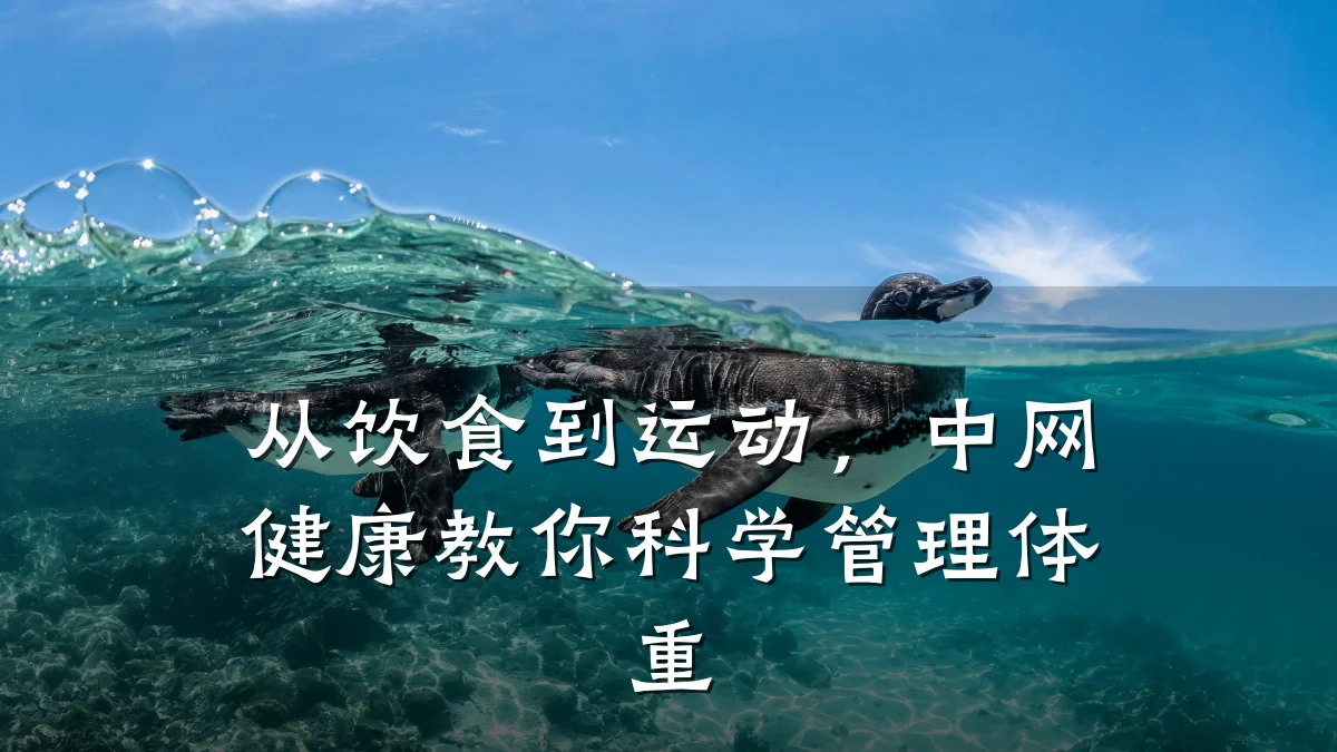 从饮食到运动,中网健康教你科学管理体重