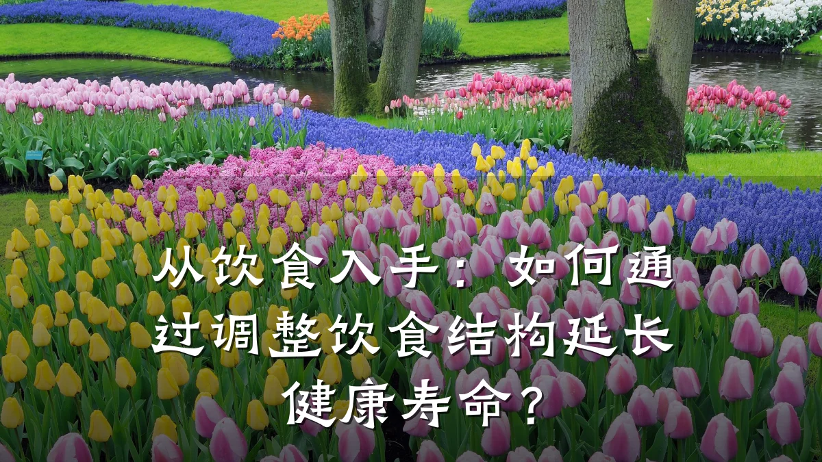从饮食入手:如何通过调整饮食结构延长健康寿命?