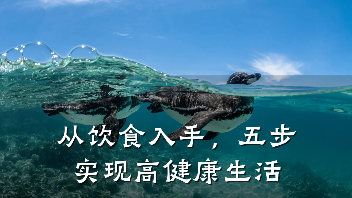 从饮食入手,五步实现高健康生活