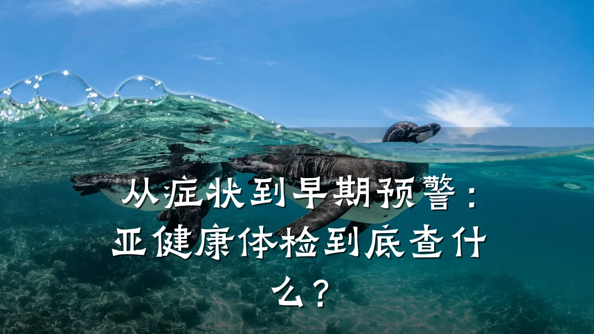 从症状到早期预警:亚健康体检到底查什么?