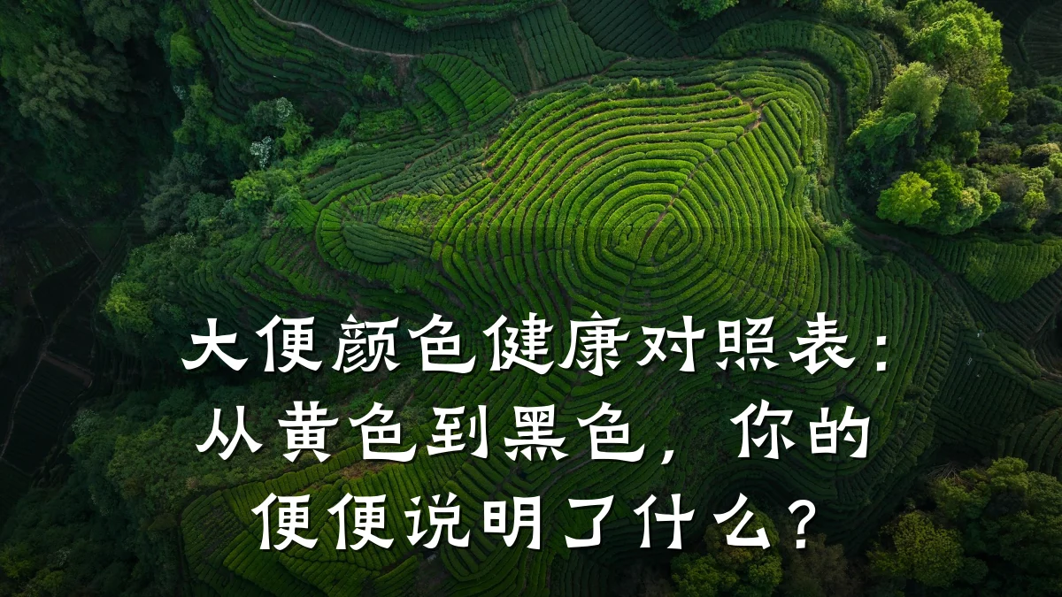 大便颜色健康对照表:从黄色到黑色,你的便便说明了什么?