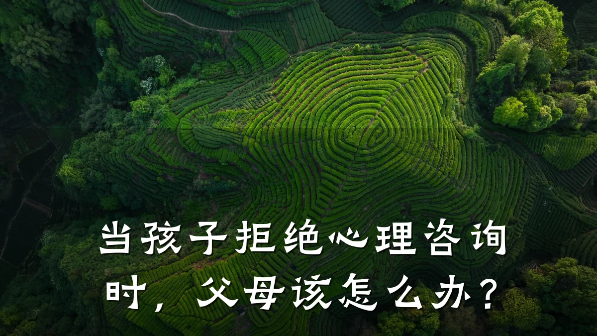 当孩子拒绝心理咨询时,父母该怎么办?