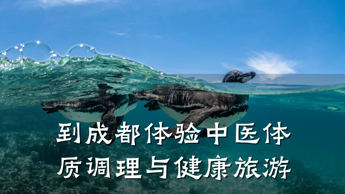 到成都体验中医体质调理与健康旅游