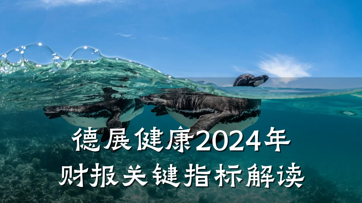 德展健康2024年财报关键指标解读
