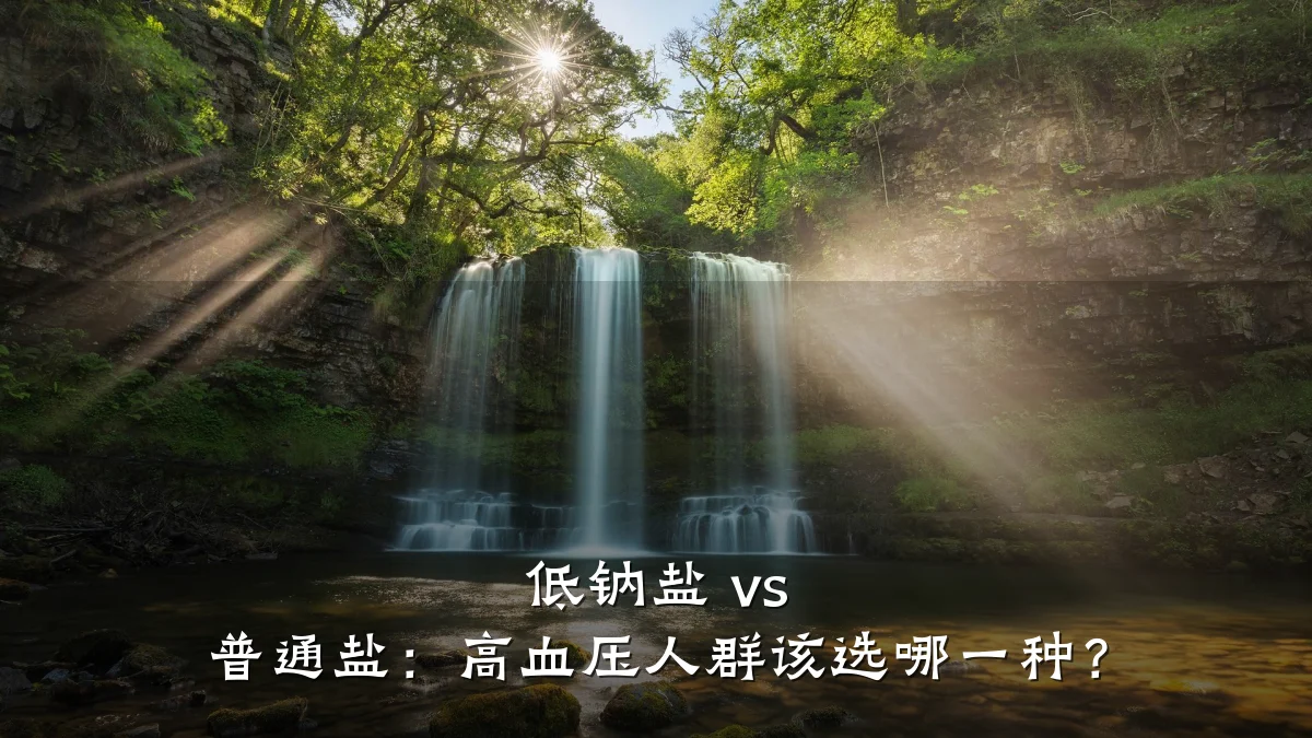 低钠盐 vs 普通盐:高血压人群该选哪一种?