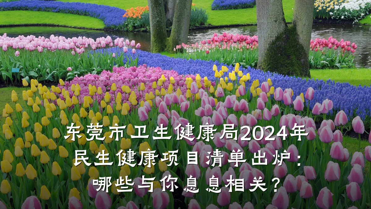 东莞市卫生健康局2024年民生健康项目清单出炉:哪些与你息息相关?