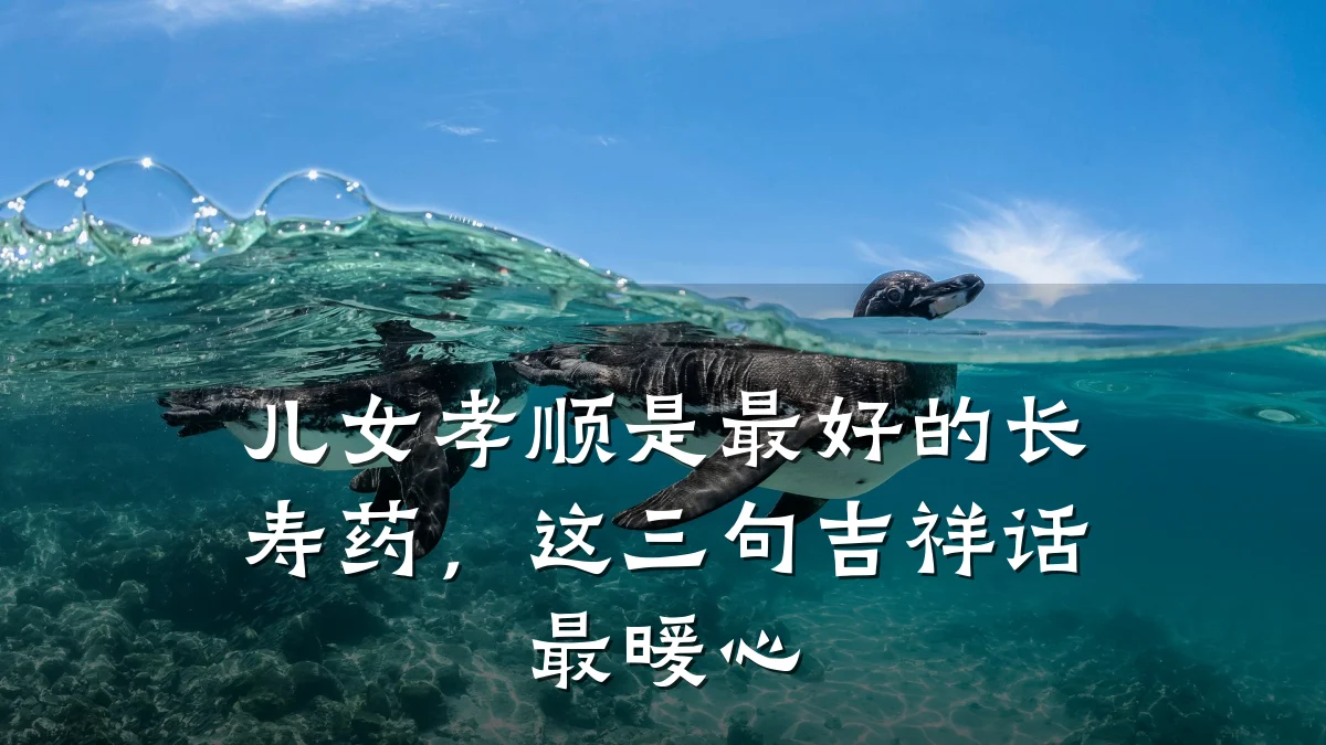 儿女孝顺是最好的长寿药,这三句吉祥话最暖心