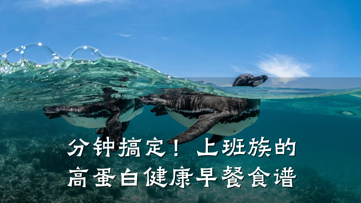 分钟搞定!上班族的高蛋白健康早餐食谱
