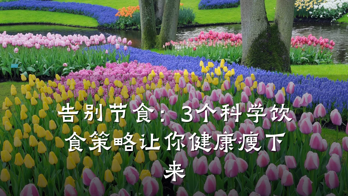告别节食:3个科学饮食策略让你健康瘦下来