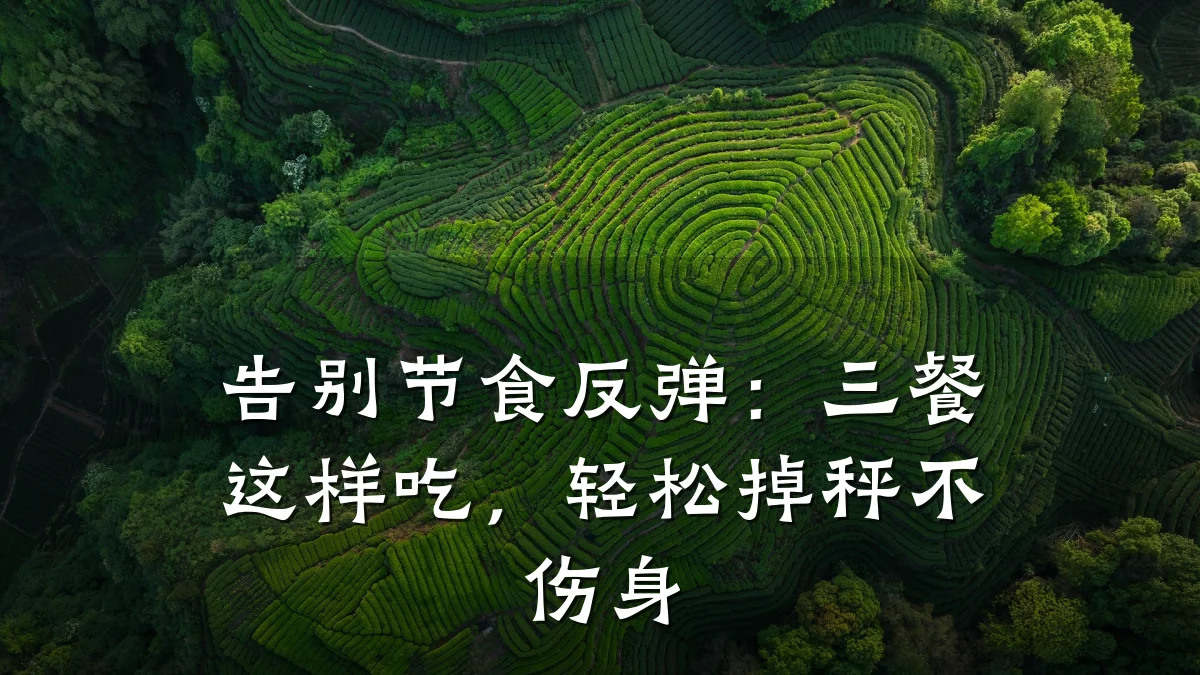 告别节食反弹:三餐这样吃,轻松掉秤不伤身