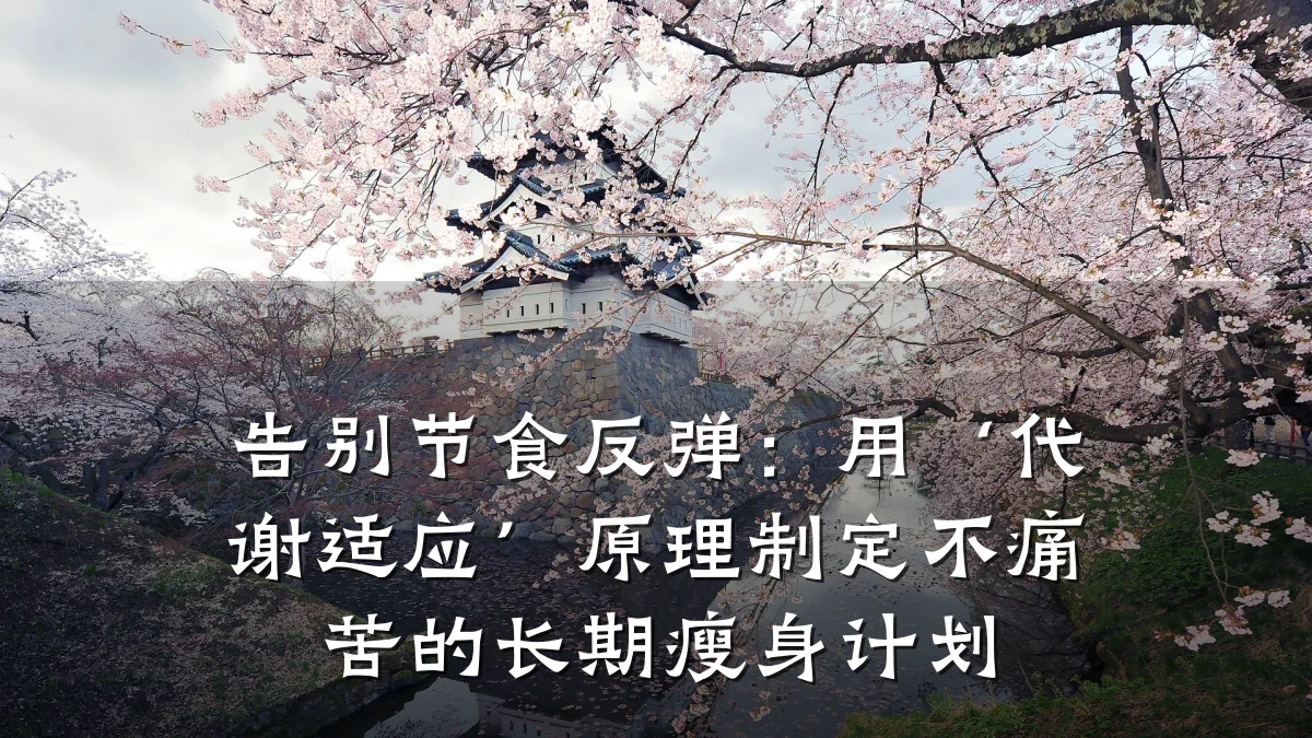 告别节食反弹:用‘代谢适应’原理制定不痛苦的长期瘦身计划