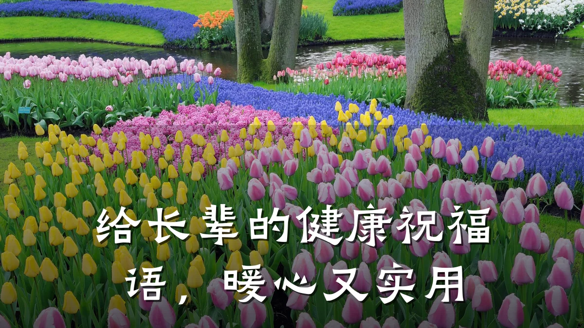 给长辈的健康祝福语,暖心又实用